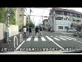 ニャンとかしてちょうだい!撮影車の行く手を阻む家族連れ?達
