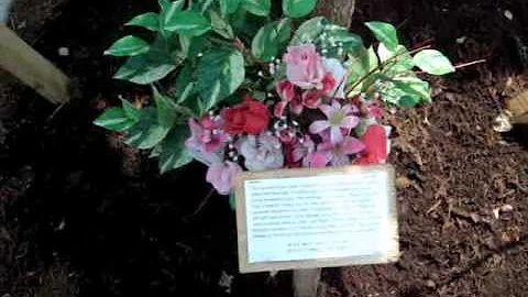 Flowering lilac will memorialize Judy Clement