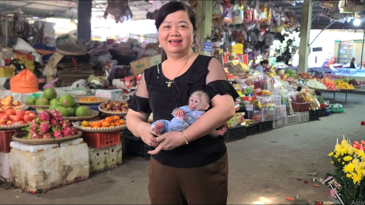 Baby Monkey Tini met many fans at the market