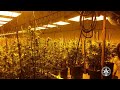 Cultivo al interior o "indoor"