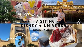 Our Disney+ Universal Vacation