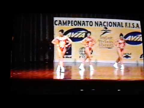 Campeonato nacional de aerobic 1996