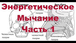 видео: Энергетическое Мычание. Часть 1 картинка: Энергетическое Мычание. Часть 1