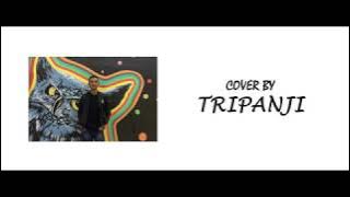 Lagu Alas 2018 | Abadi Selian - Antat Takhuh  (Cover by Tripanji)