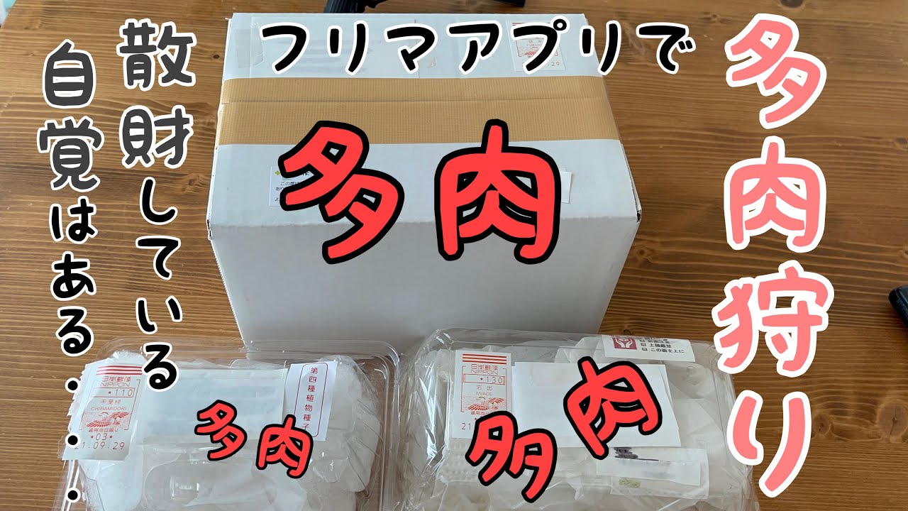 多肉植物]フリマアプリは多肉狩りはあり？なし？衝動買いの成果をみて