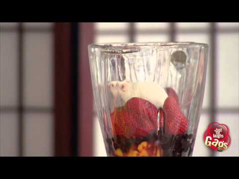 mouse-smoothie-gag