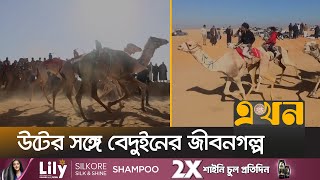 মিশরে ঐতিহ্যবাহী উটের দৌড় প্রতিযোগিতা | Camel Racing | Egypt | Desert | Ekhon TV screenshot 5
