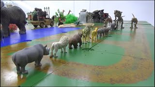 10 Animals vs 3 Big Dinosaurs 10마리 동물 vs 3마리 빅 공룡