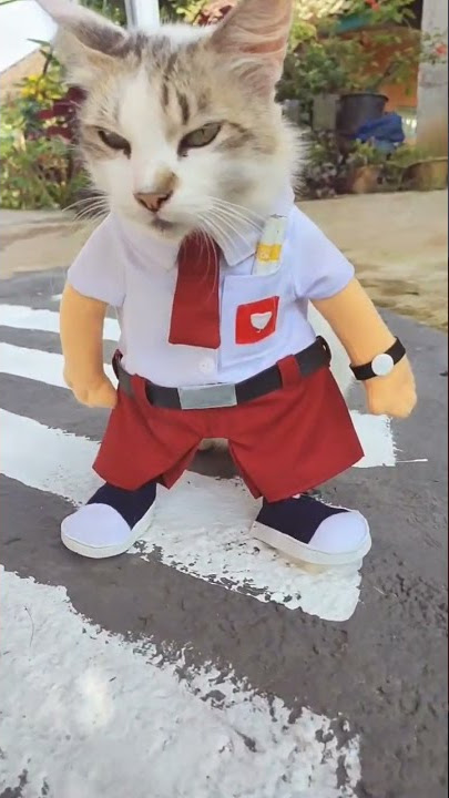 ‼️BAWA ROKOK BOLOS SEKOLAH‼️😂 | LINK BAJU KUCING DI KOLOMKOMENTAR