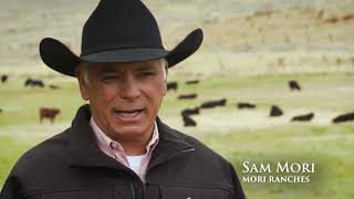The Benefits of Public Land Ranching