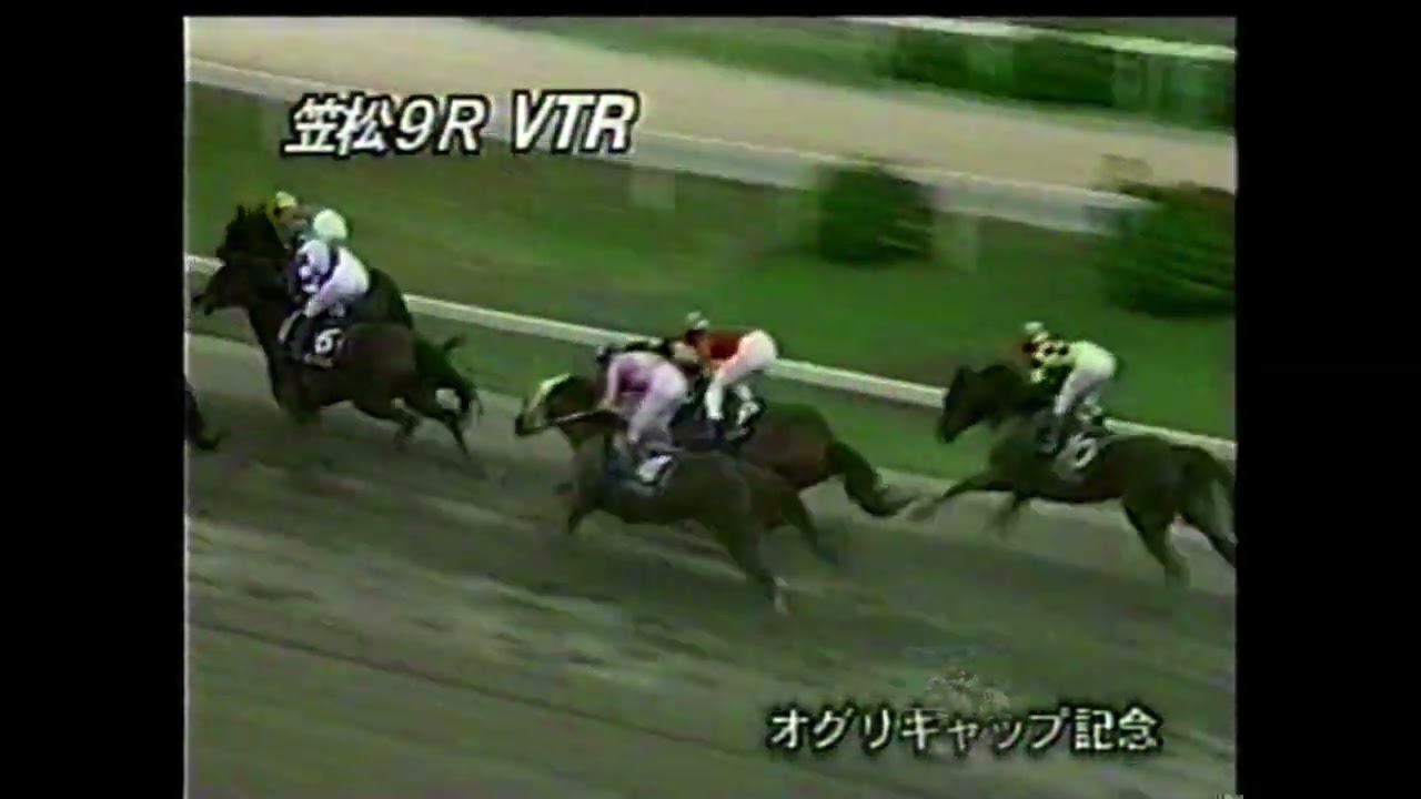 2001 第10回 オグリキャップ記念 ハカタビッグワン