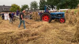 IMG 71881