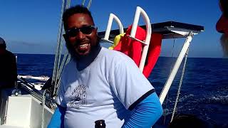 Daytripper Catamaran Charters in Placencia, Belize