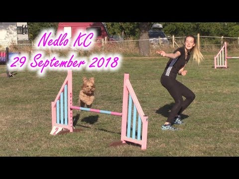 kc agility