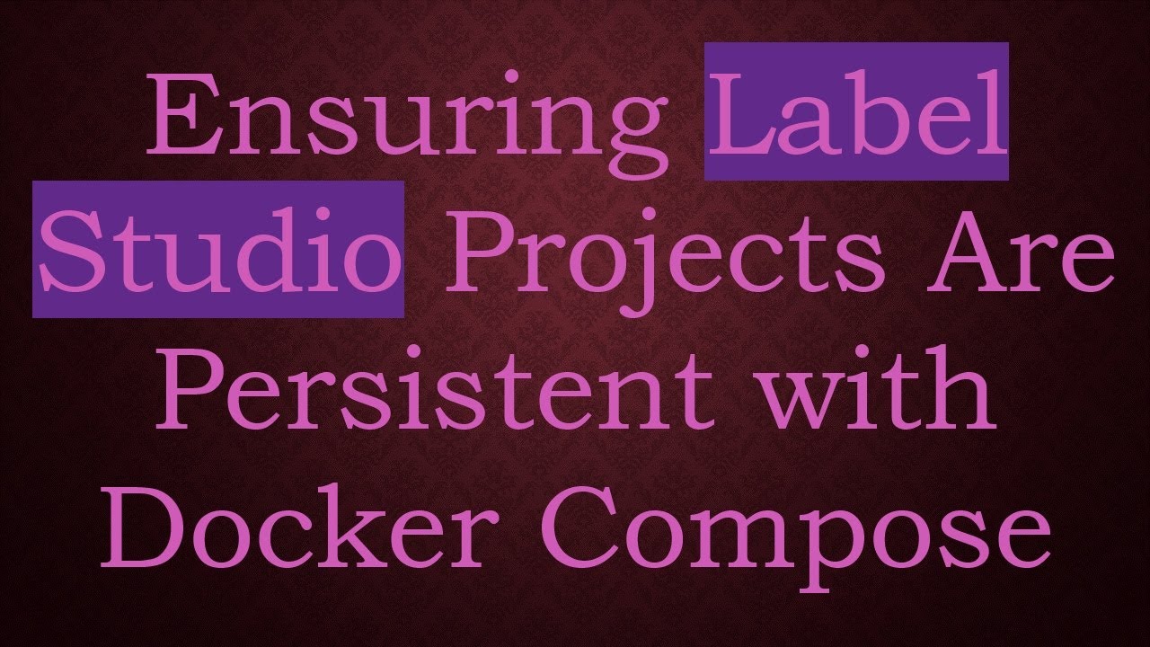 Persistent Label Ensuring Label Studio Projects Are Persistent with Docker Compose - YouTube