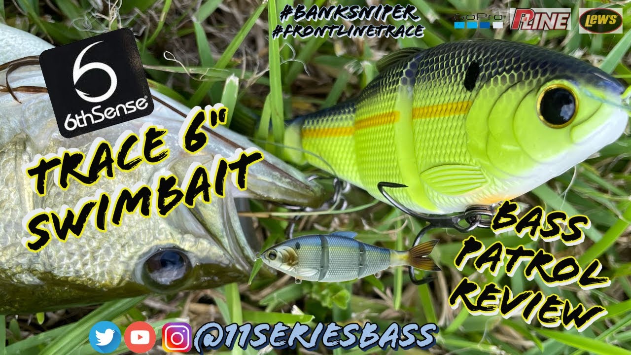 Testing Out the Brand New 6th Sense Trace Swimbait!! (BIG FISH LANDED) 