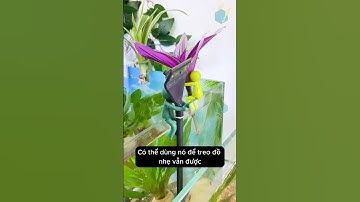 Trang trí độc đáo cho bể cá với kẹp hình người tí hon #aquarium #youtubeshorts