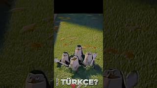 Do You Speak Türkçe