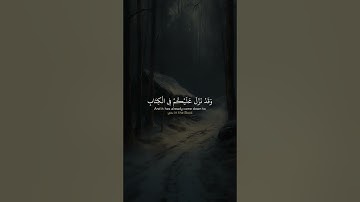 (ان اذا سمعتم آيات الله يكفر بها ويستهزأ بها…..) القارئ عبدالله الموسى