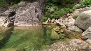 Красивое видео природы, без музыки, естественные звуки в качестве fullhd Beautiful video of nature