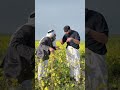 عم يخوف ابوه حتى مايشتغل بالارض