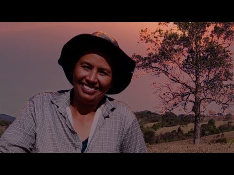 VIDA NA ROÇA, TEM TRABALHO E TÊM NASCIMENTO DE LEITAOZINHOS.