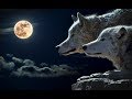 Сказ про двух волков (мотивация)
