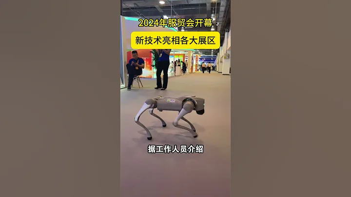 2024年服貿會開幕！新技術亮相各大展區！「聚焦2024服貿會」| 財經風雲 - 天天要聞