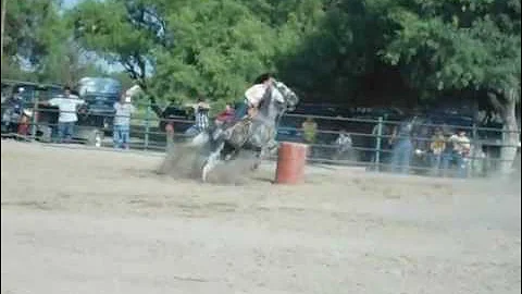 Sara Chapa y el Fantasma (new barrel horse) 1 etap...