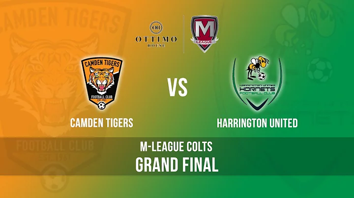 Grand Final: Camden Tigers v Harrington United - M-League Colts