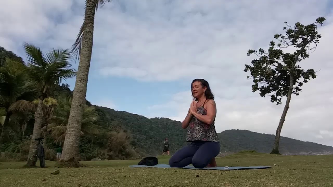 Vinyasa Flow Aula de  Yoga ao vivo- Geo Vallejo