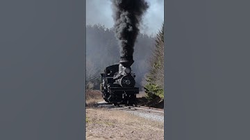 Cass Shay 2 Makes the Climb to Bald Knob #steamtrain #train #casswv #westvirginia #railroad