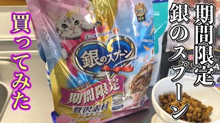 期間限定で銀のスプーンが発売されてたので買ってみました！【猫と夫婦の日常】