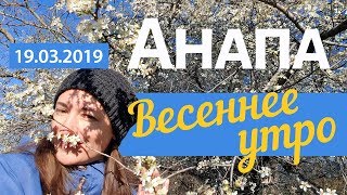 #АНАПА. Погода 19.03.2019. Весеннее утро. Через парк к морю!