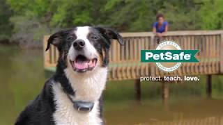 petsafe add a collar