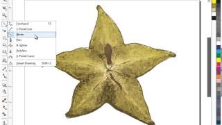 CorelDRAW - Drawing Curves