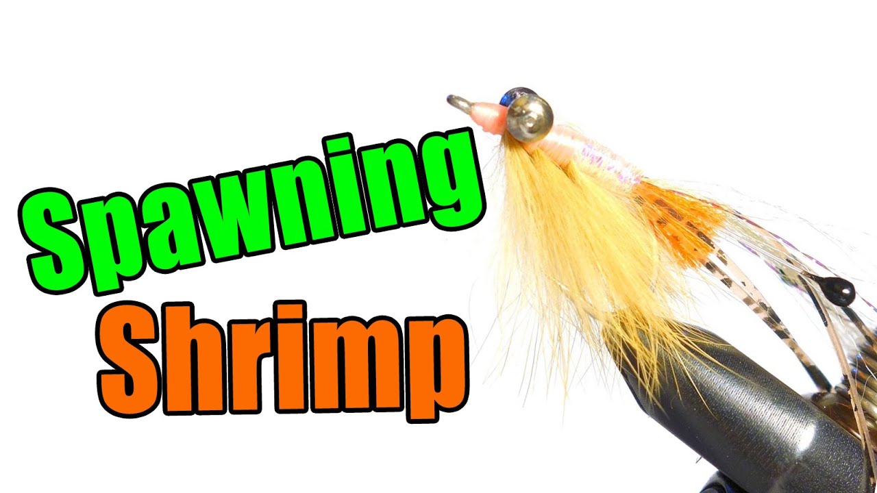 EP Grass Shrimp – Dakota Angler & Outfitter