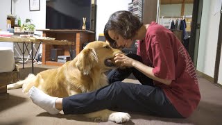 妻のかくれんぼレベルが上がっていた件