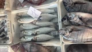 أسعار السمك ليوم الثلاثاء 22 نونبر  2022 المغرب