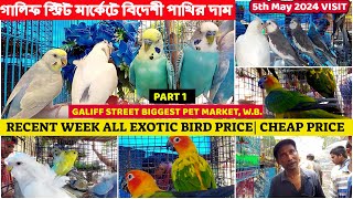 Recent Week All Exotic Bird Price Update |গালিফ স্ট্রিট বার্ড মার্কেটে বিদেশী পাখির দাম | 05/05/24