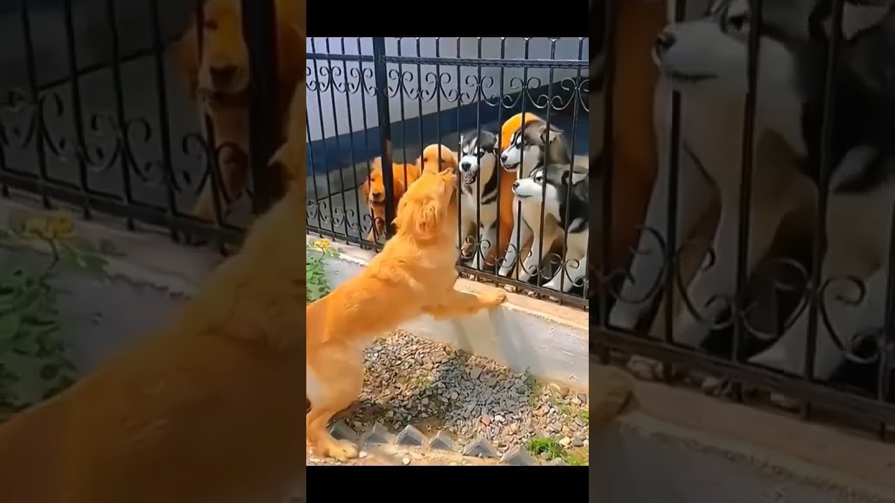 10 Things You Need to Know About DIY how to 