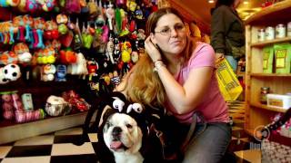 Dog Files - Ep.6 - Happy Howl-O-Ween