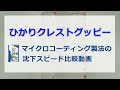 マイクロコーティング沈降速度試験【キョーリン　Hikari　ひかり　クレストグッピー　えさ】