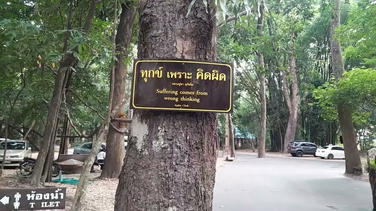 I visited this unique temple in Northeast of Thailand- The Wat Pah Nanachat, Ubon Ratchathani