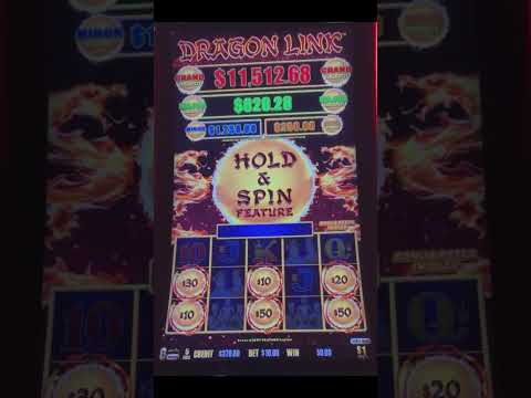 Kasino Dude Spin: Kirjaudu sisään ja aloita verkko pelit!