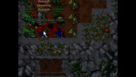 Tibia Trap in Rookgaard - Hippo CKun