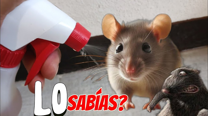 ¡Solo Pocas GOTAS y los ratones y Ratas se irán para Siempre!