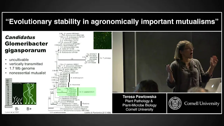 Evolutionary Stability in Agronomically Important ...