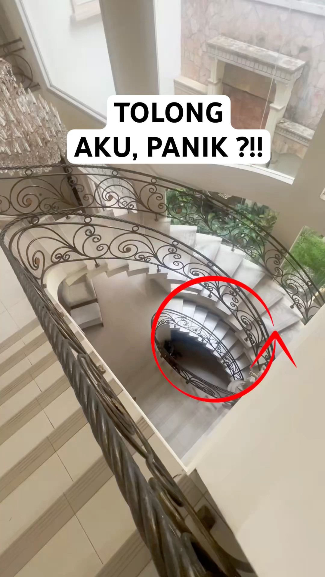 TOLONG AKU PANIK!!