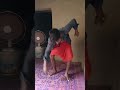 Madanrm8158dance drawingdogmyssubscribemy virelshare funnylikethadance